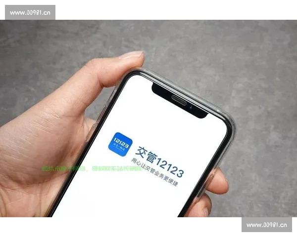 开云APP官方网站下载安装指南 轻松掌握安装步骤与使用技巧